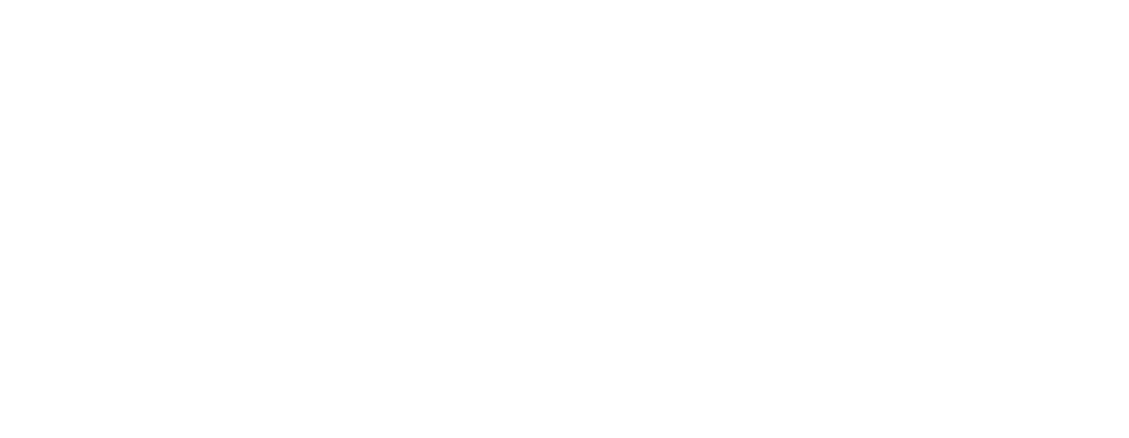 Logo Delta20 Blanc
